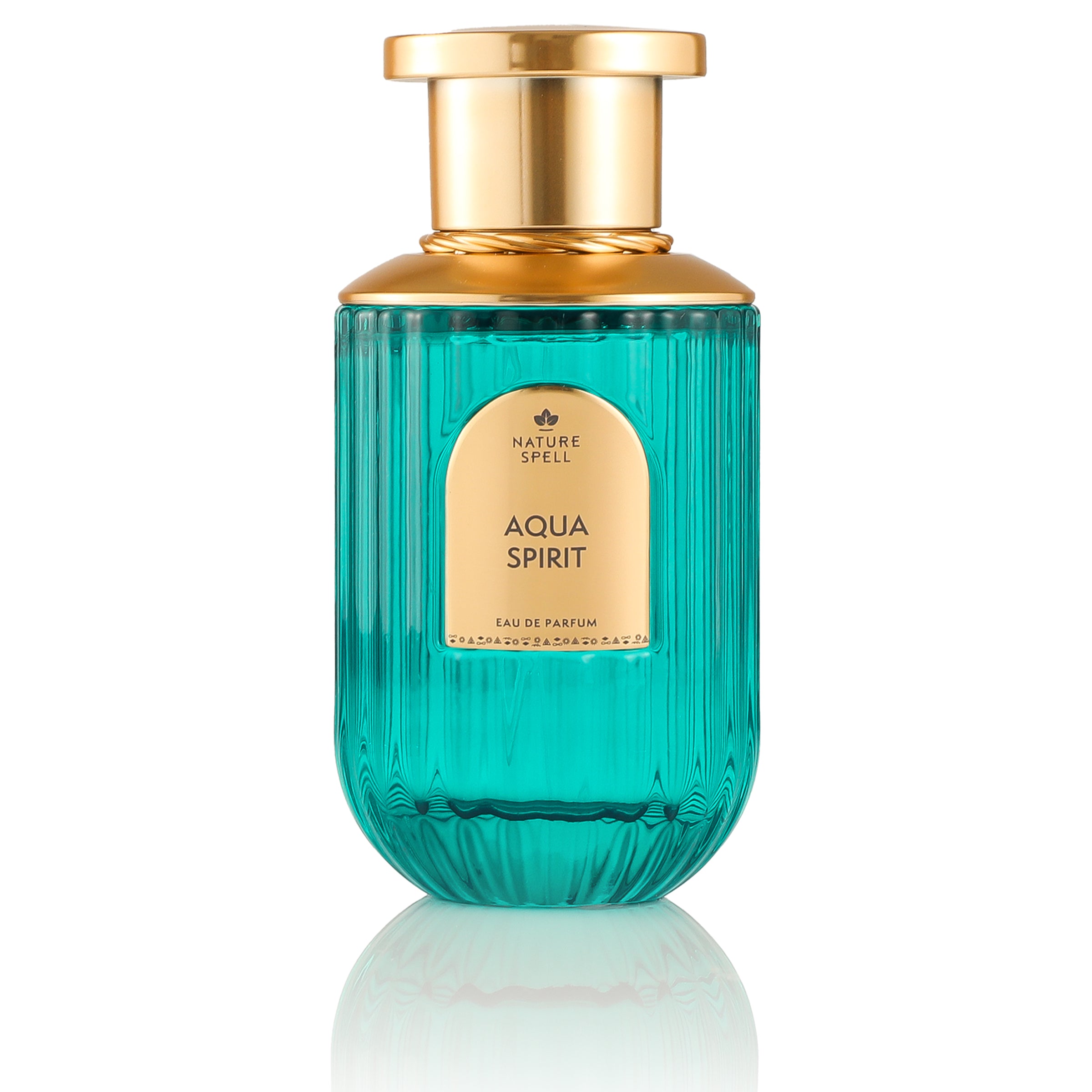 NATURE SPELL AQUA SPIRIT EDP PERFUME 100ML