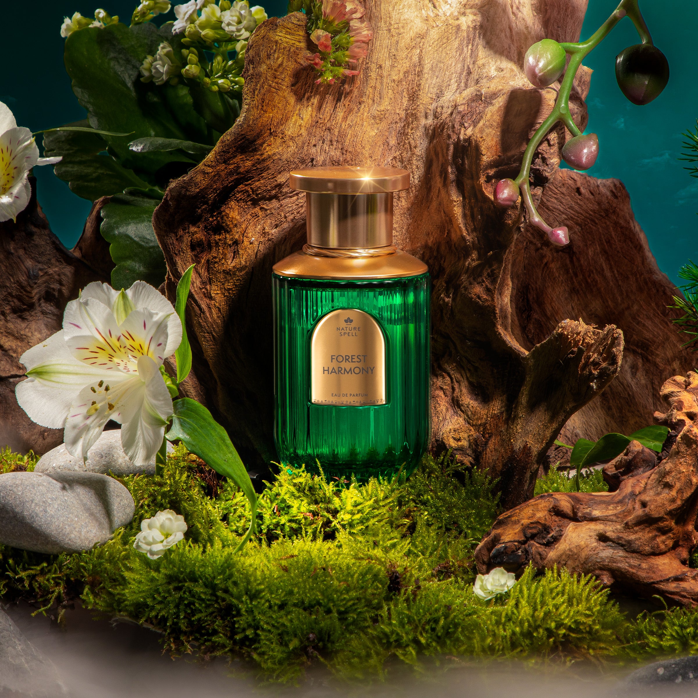 NATURE SPELL FOREST HARMONY EDP PERFUME 100ML