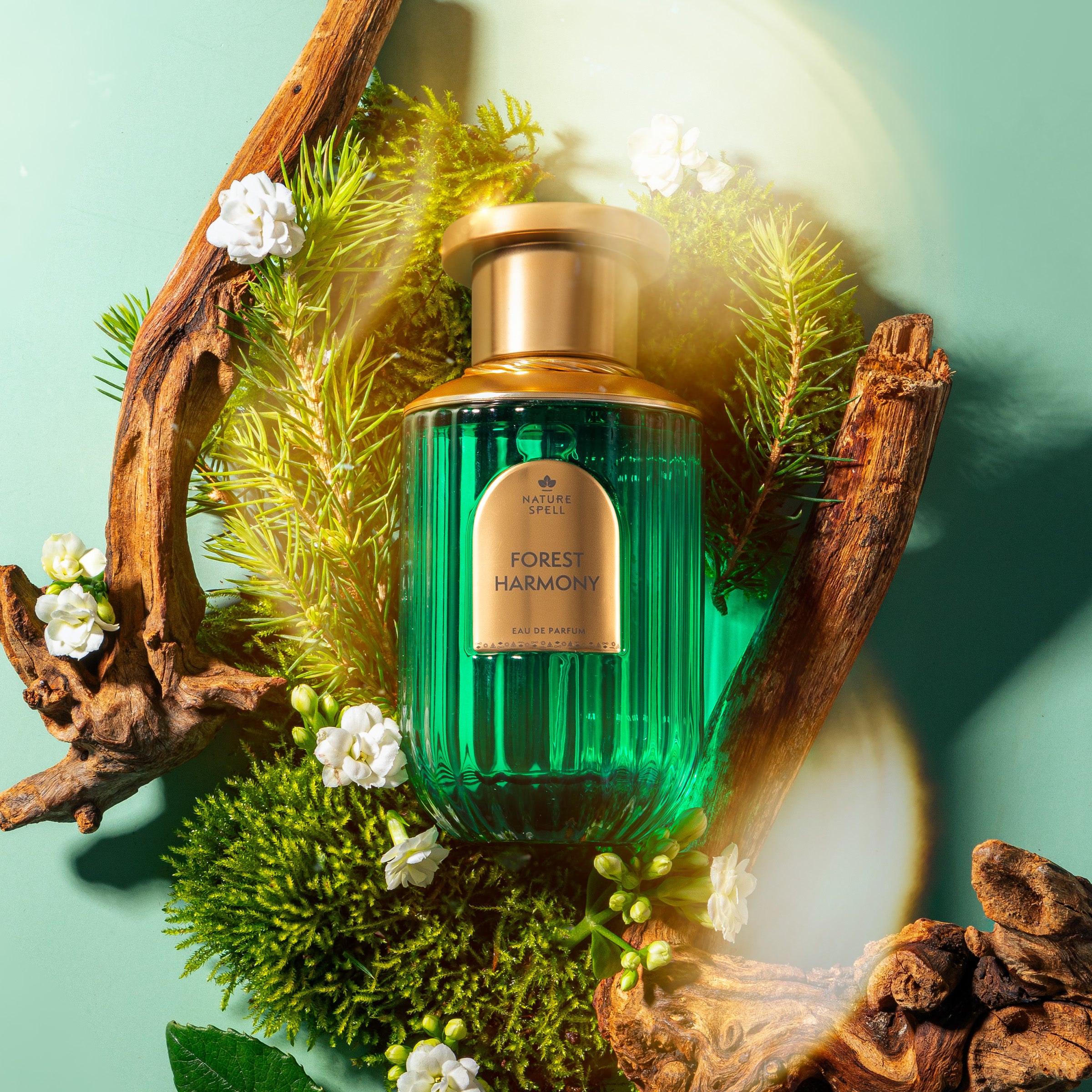 NATURE SPELL FOREST HARMONY EDP PERFUME 100ML